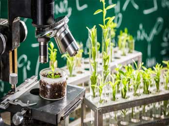 Botany Laboratory